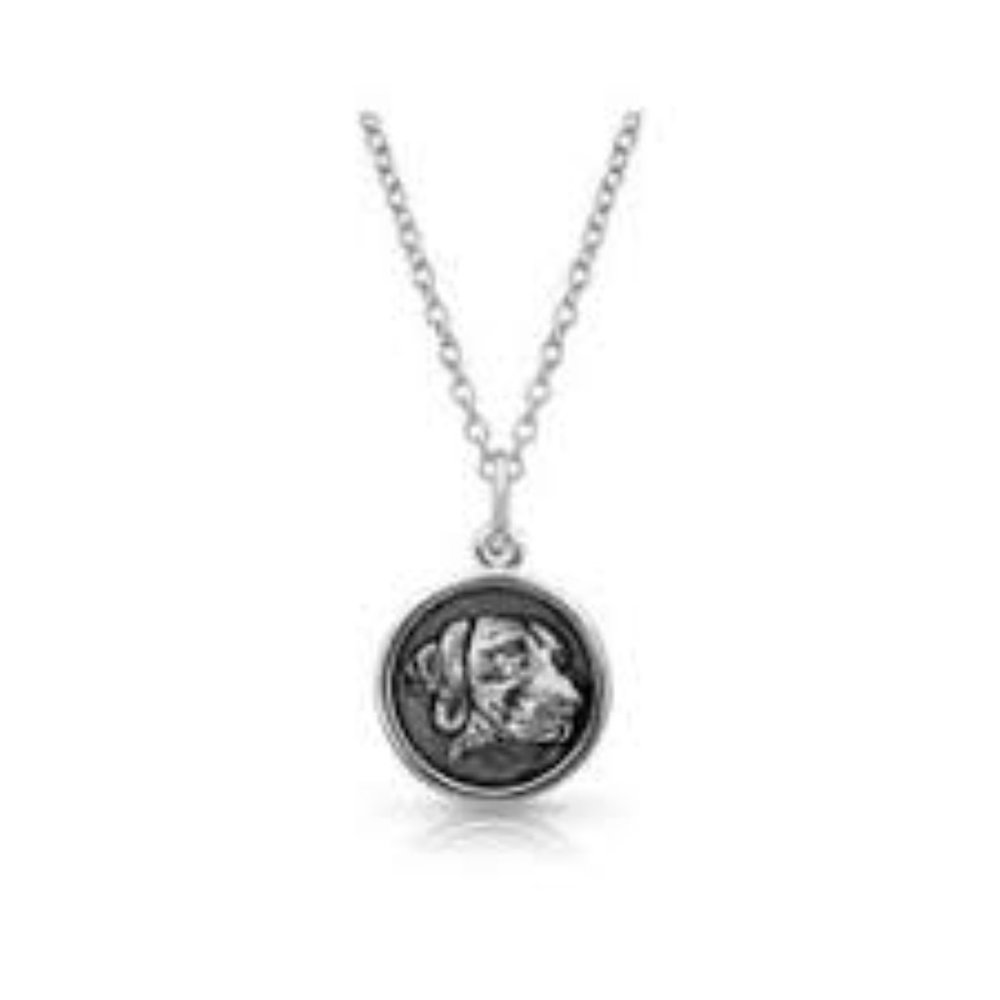 NWT Montana Silversmiths Pointer Necklace